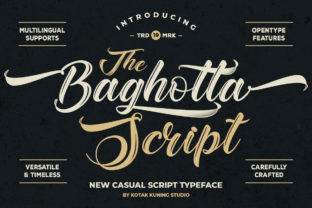 Baghotta: The Font That Elevates Your Campaign Design