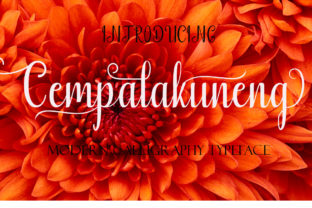 Cempalakuneng: A Script Handwritten Font That Elevates Branding