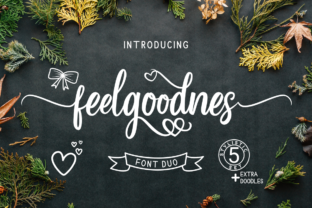 Feelgoodnes: A Font That Elevates Your Brand with Style and Substance