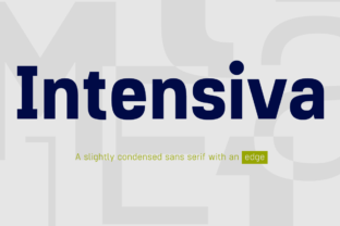 Intensiva Family: A Modern Sans Serif Font for Designers
