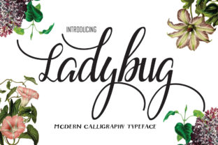 Ladybug Script Font for Editorial Design and Creative Publishing