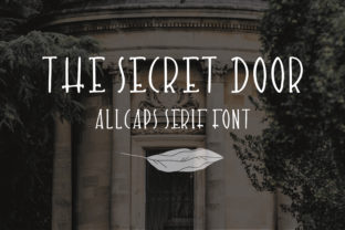 The Secret Door: A Script Handwritten Font for Bold Web Design